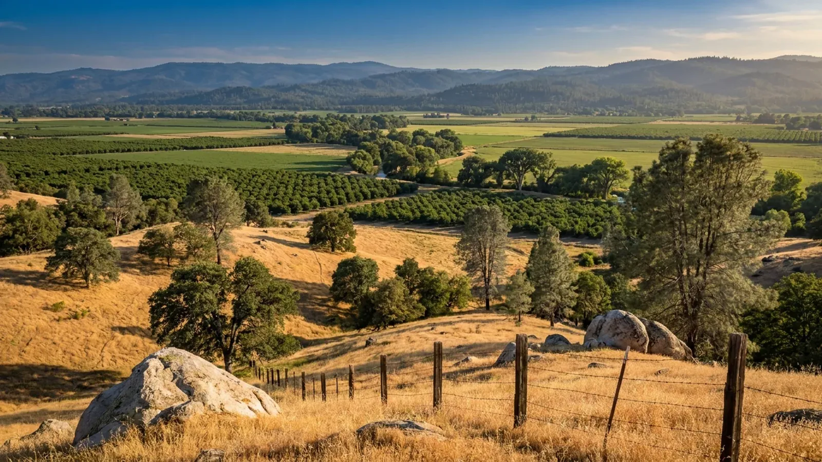 Golden foothills with blue oaks and granite boulders above the flat Sacramento Valley floor, its walnut orchards in rows and forested ridges on the horizon.